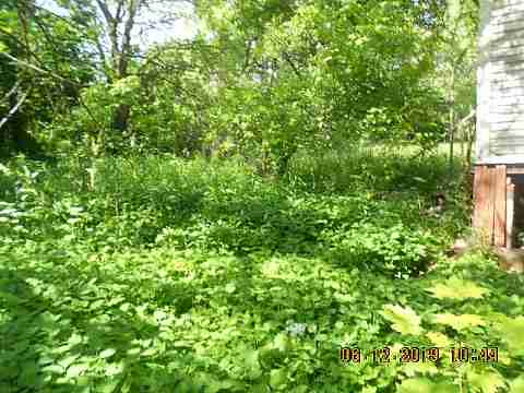 14098 Saratoga (7)_m.jpg